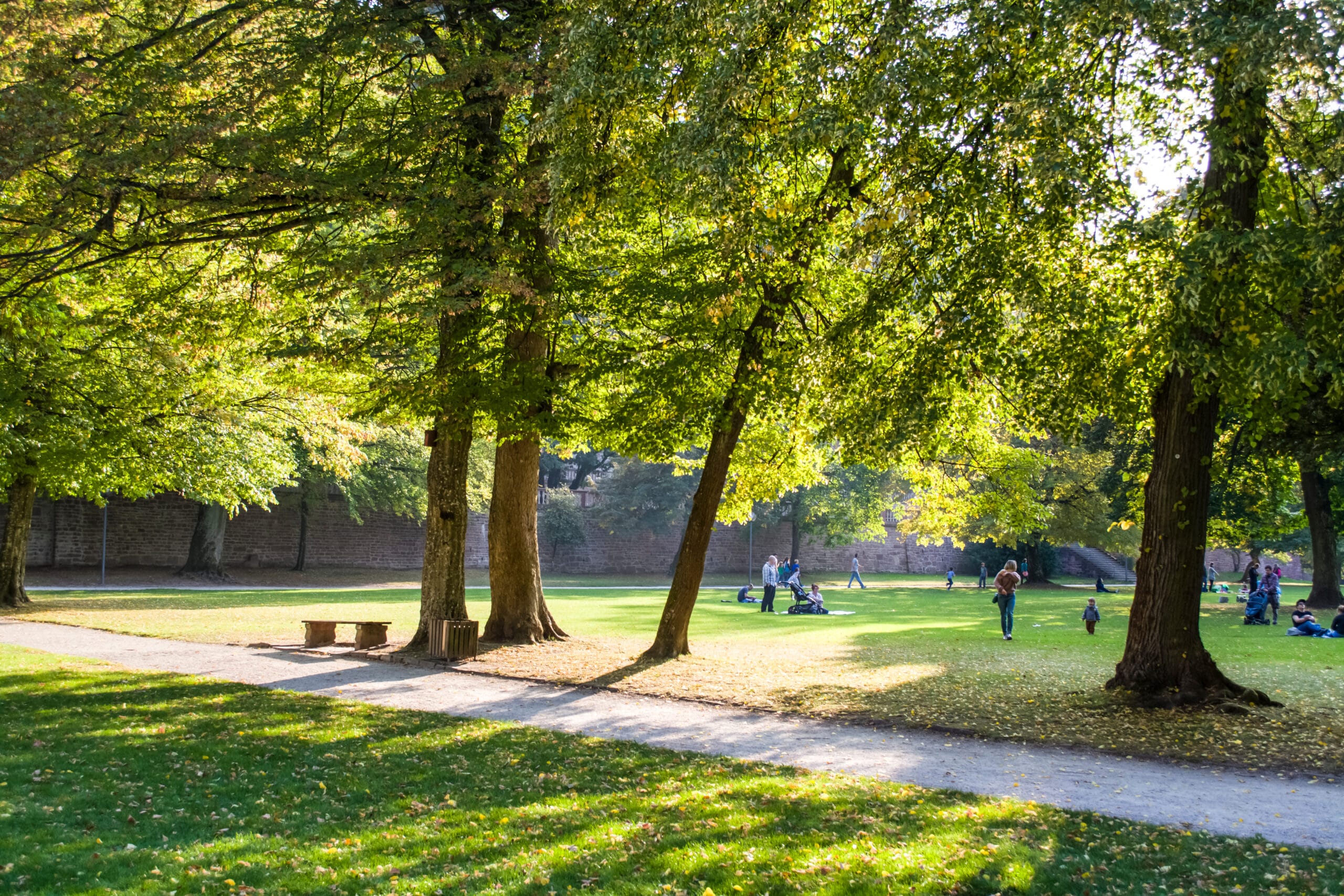 Parc municipal de Saint-Gall avec espaces verts et chemins – un lieu de rencontre détendu pour un rendez-vous