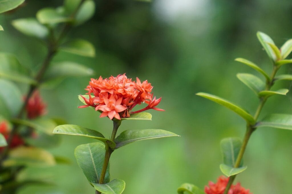 Quattro mesi di DuoLivo
